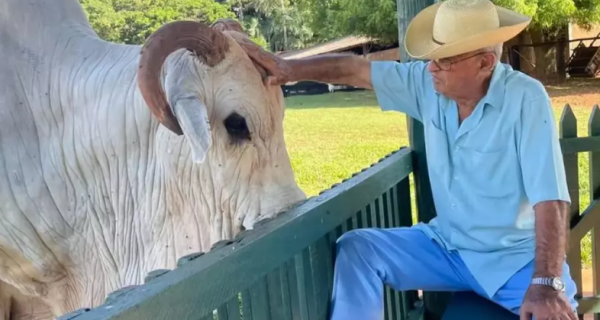Pecuária brasileira se despede de Chico Ventania, pioneiro da raça nelore