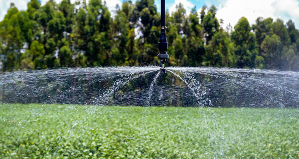 Monitoramento via satélite identifica áreas irrigadas a partir da umidade do solo