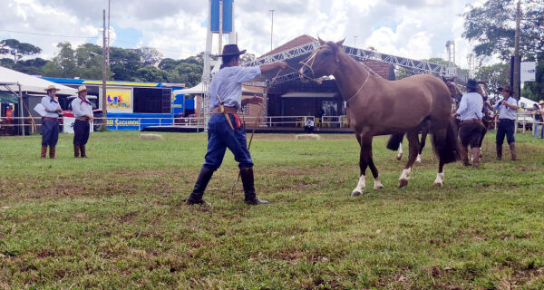 Passaporte de Campo Grande receberá exemplares de seis estados na Expogrande