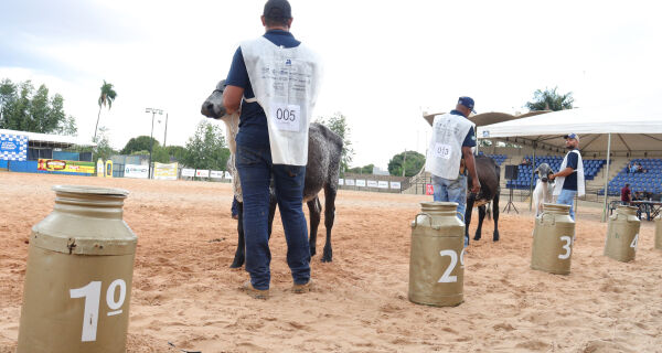 Girolando MS impulsiona setor com genética e shopping do leite na Expogrande