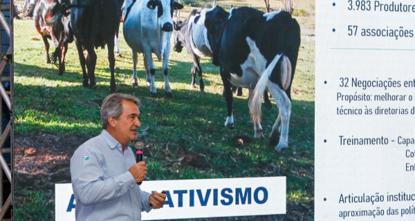 ProLeite avança com organização do setor, incentivo direto ao produtor e aumento da competitividade 