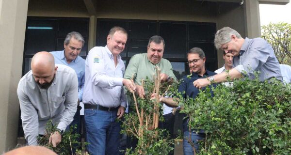 Para fortalecer cadeia da laranja, Riedel participa na Expogrande de remoção simbólica de murtas 
