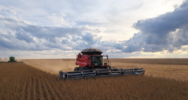 Fertilizantes disparam até 63% e levam relação de troca do agricultor ao pior nível em anos
