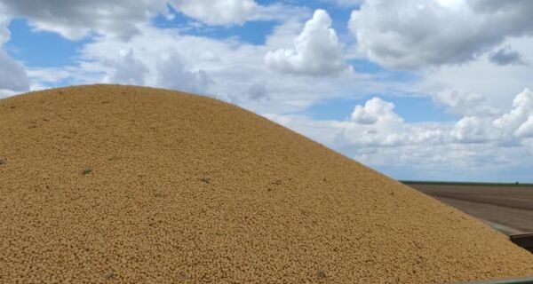Colheita da safra de soja 2025/2026 deve ser concluída em até 10 dias no Estado