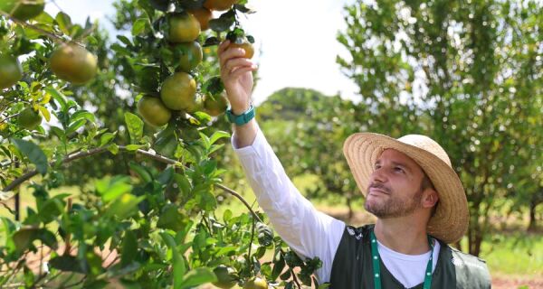 Curso técnico do Senar/MS transforma carreira e leva ex-engenheiro a viver do agro