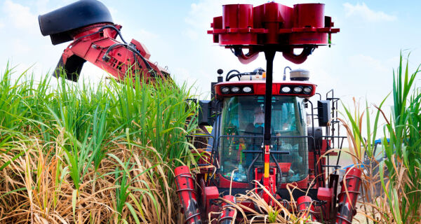 Produtividade da cana em abril cresce 13% no Centro-Sul, aponta CTC