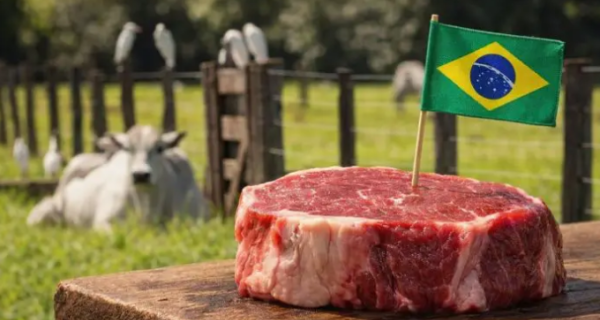 União Europeia barra exportação de carnes do Brasil por regras sanitárias