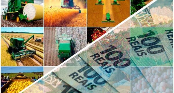 Com Selic a 14,5%, agroindústrias trocam crédito tradicional por linhas subsidiadas para investir