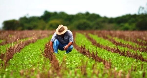 Endividamento avança no campo após juros altos, perdas climáticas e queda da renda