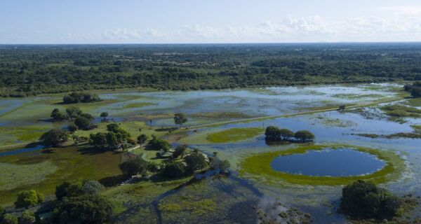 Pantanal reduz desmatamento em 48%, mostra o Mapbiomas