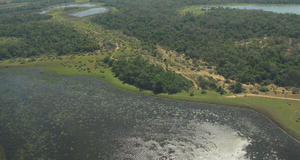 Cheia de 2026 no Pantanal permanece abaixo da média histórica