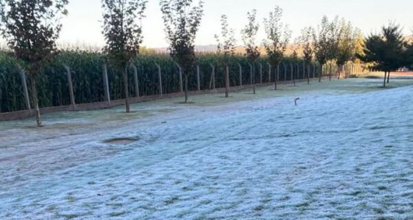 Iguatemi registra a mínima da manhã de hoje com 1 grau; frio persiste e fim de semana terá chuva