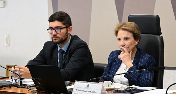Comissão do Código Civil conclui debates com foco em propriedade e contratos