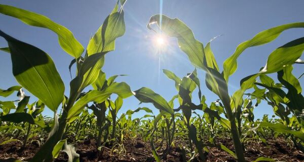 Crédito rural recua 39,5% em abril em MS