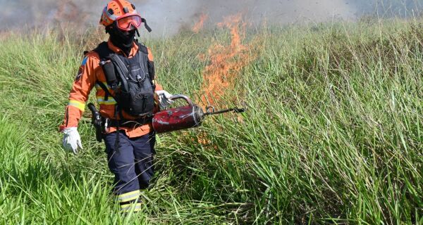Para conservar e proteger biomas, MS realiza técnica de queima prescrita em parque estadual