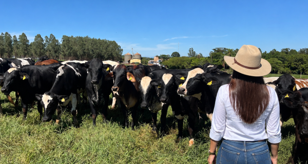 Associação de Girolando lança projeto para impulsionar presença das mulheres na pecuária leiteira