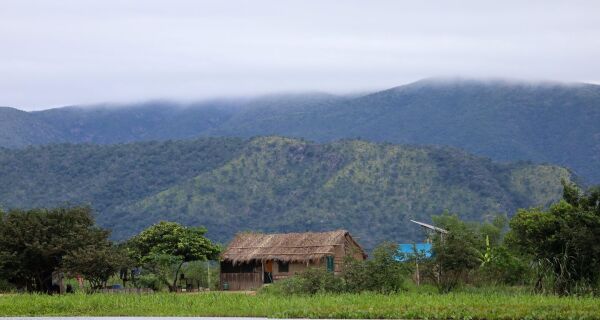 Para preservar o Pantanal, produtores rurais têm ações de conservação remuneradas pelo governo