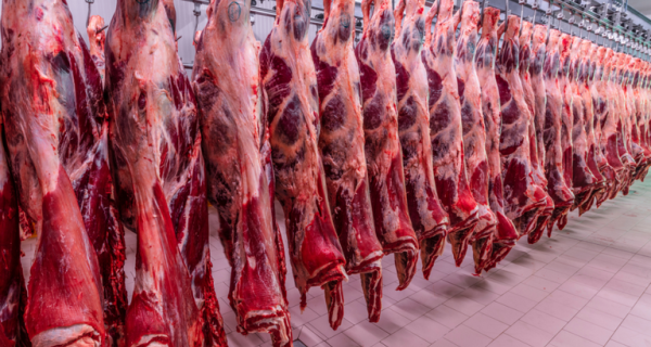 Quase 100 plantas frigoríficas brasileiras miram o mercado de carne bovina do Vietnã
