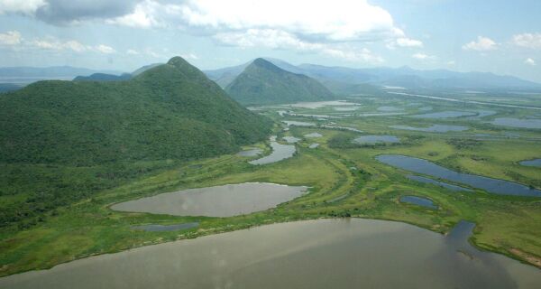 MS tem a menor área desmatada sem autorização do País nos últimos 7 anos, revela MapBiomas