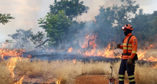 Bombeiros de MS se preparam para temporada de incêndios florestais com treinamentos e ações em campo