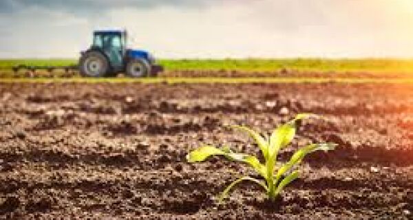 CMN atualiza alíquotas do Proagro e muda regras de controle