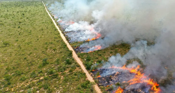 Decreto de emergência reforça preparação do Governo de MS para enfrentamento a incêndios florestais