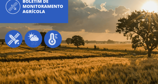 Boletim aponta índices de vegetação acima da média histórica nos cultivos de inverno