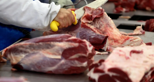 Carne bovina: Brasil exporta 324,35 mil toneladas em junho/26, volume recorde