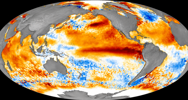El Niño reforça necessidade de planejamento na formação de pastagens, alerta especialista
