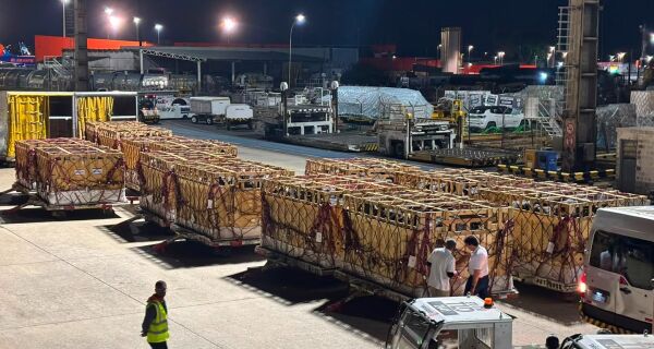 Brasil faz primeira exportação de Girolando para Botswana