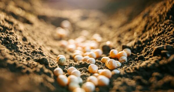 Instabilidade internacional causa aumento no preço de fertilizantes