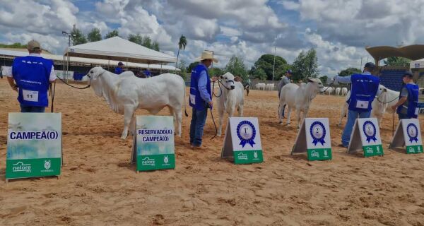 Acrissul se manifesta a respeito da não realização do julgamento da raça nelore na Expogrande
