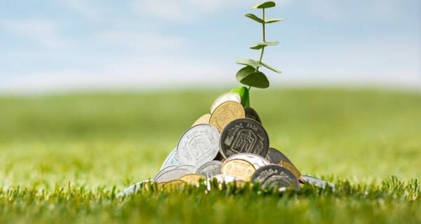Banco do Brasil reduz crédito ofertado para a safra 2026/27