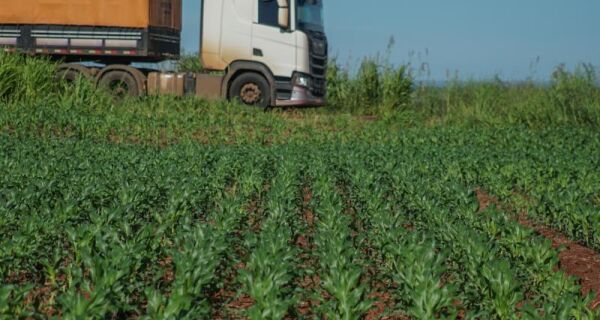 Estudo analisa os impactos da infraestrutura logística sobre a produção agrícola de MS