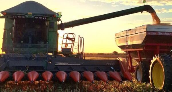 Crédito rural registra redução nas contratações ao final do Plano Safra 2025/26