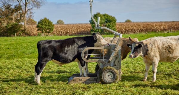 Sistema autônomo acompanha peso e calcula o GMD diretamente no pasto
