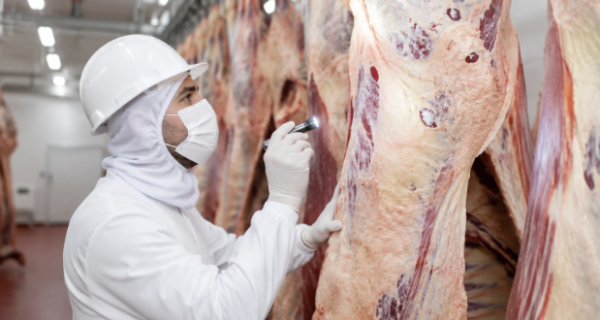 Abates caem em julho limita oferta e sustenta preços do boi mesmo com desaceleração das exportações
