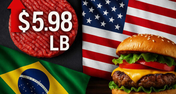 Boi gordo: veja como os preços terminaram a semana em dia de anúncio de Trump