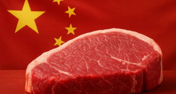 Brasil atinge 90% da cota de carne para a China