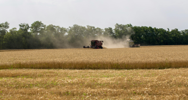 Recursos para a agricultura empresarial somam R$ 28,2 bi no primeiro mês da safra 2026/2027