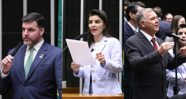 Embargos por satélite, CAR e passivos ambientais pautam debate sobre segurança jurídica no campo