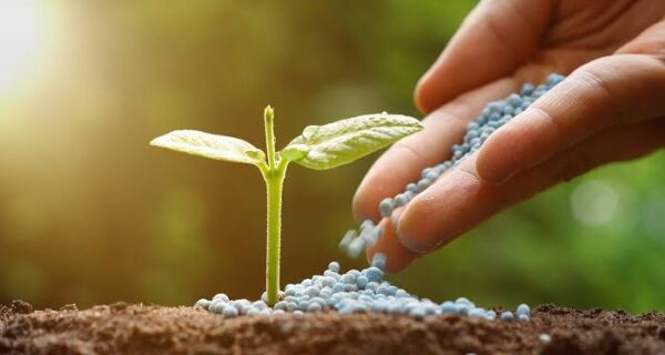 Com mais de 80% dos fertilizantes importados, Brasil aprova programa para ampliar produção nacional