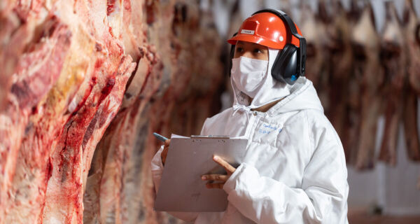 Carne bovina: saída de China e eu pode elevar oferta interna em até 32%