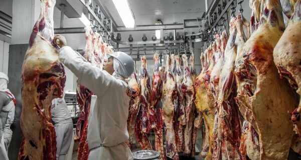 Coreia do Sul inicia missão técnica para avaliar importação de carne bovina do Brasil