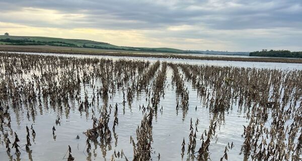 Entidades do agro cobram celeridade na operacionalização da MP das dívidas rurais