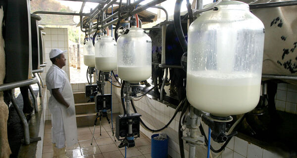 Preço do leite ao produtor sobe em junho e fecha 1&ordm; semestre com alta de 33%