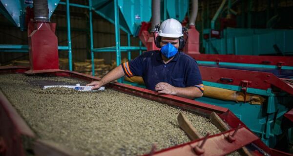 Agro vai além do campo e movimenta 22,5 mil empregos em Campo Grande