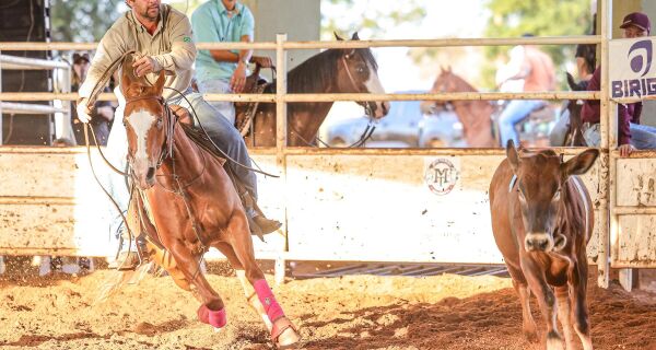 MS recebe primeira etapa de ranch sorting classificatória para competição no Texas