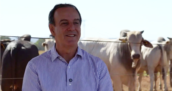 Pecuarista de MT aposta em intensificação para produzir até 24 vezes mais na mesma área e preservar