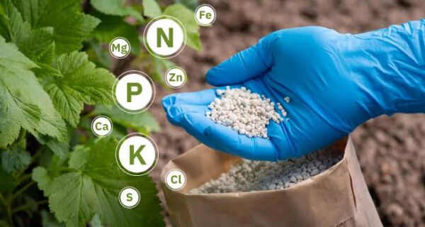 Brasil deve reduzir importação de fertilizantes em até 12% mesmo com aumento da área plantada